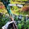 Cadeau adopter vigne abonnement